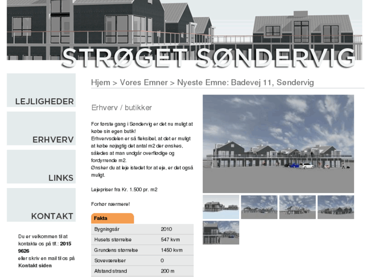 www.sondervig.info