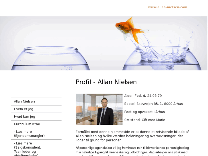 www.allan-nielsen.com