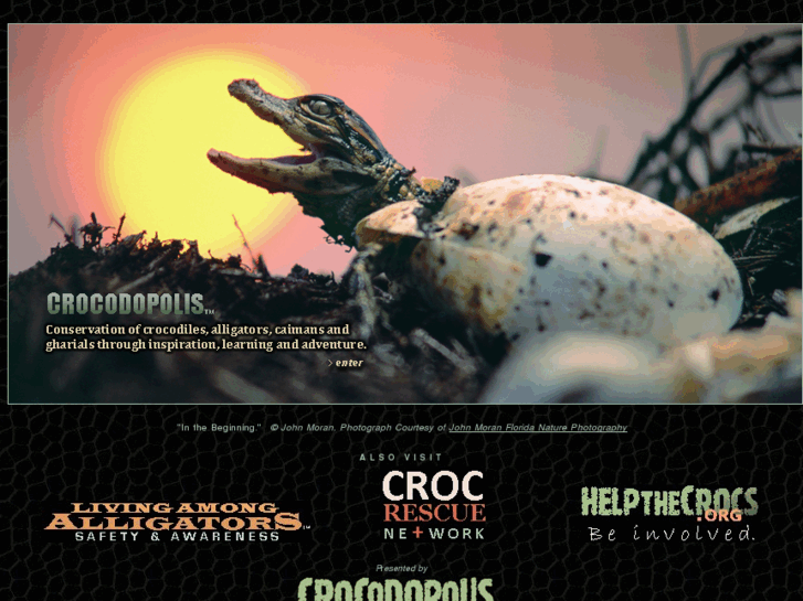 www.crocodopolis.net