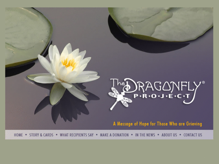 www.dragonflyproject.info