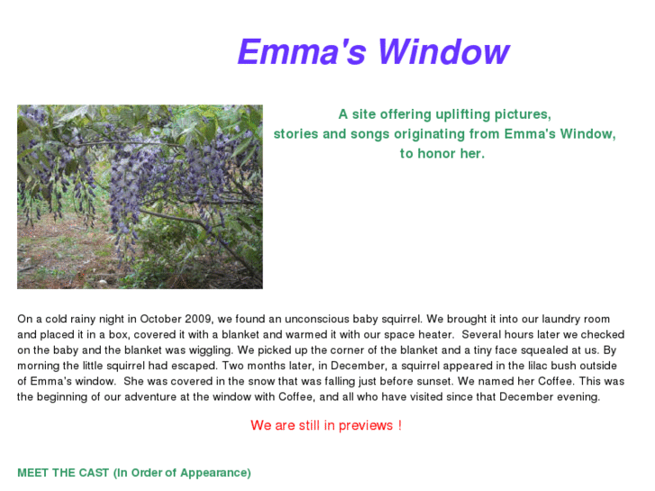 www.emmaswindow.com