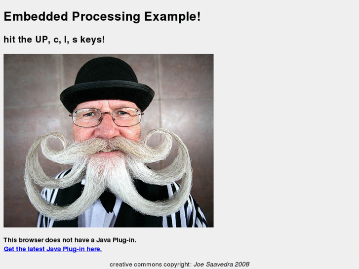 www.iheartbeards.com