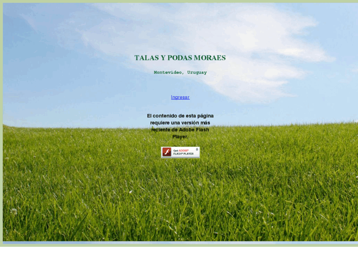 www.talasypodasmoraes.com