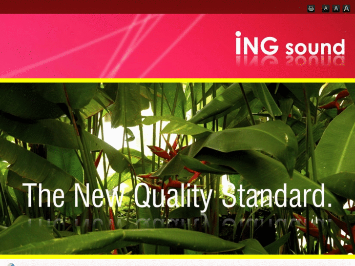 www.ing-sens.com