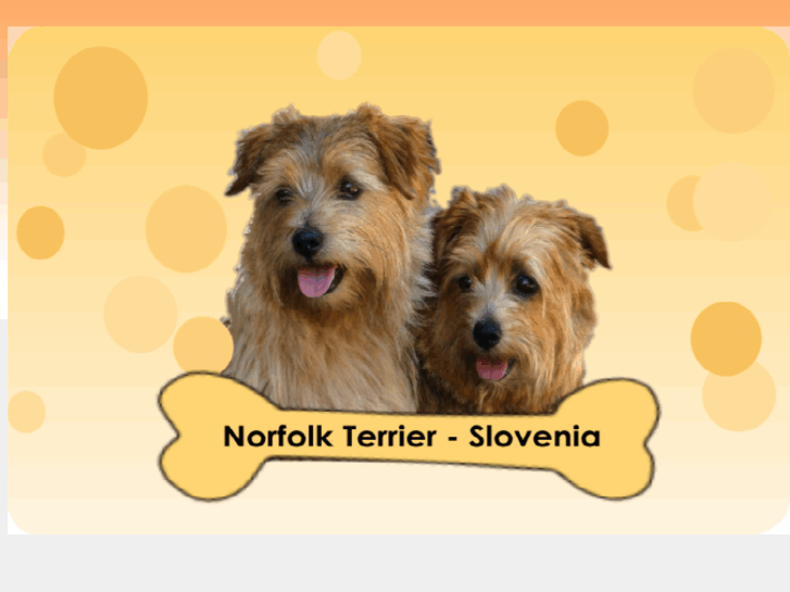 www.norfolk-terrier.si