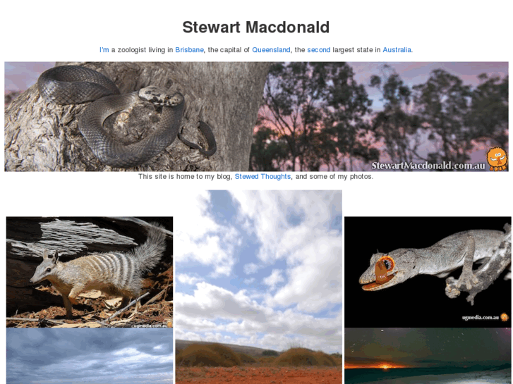 www.stewartmacdonald.com.au