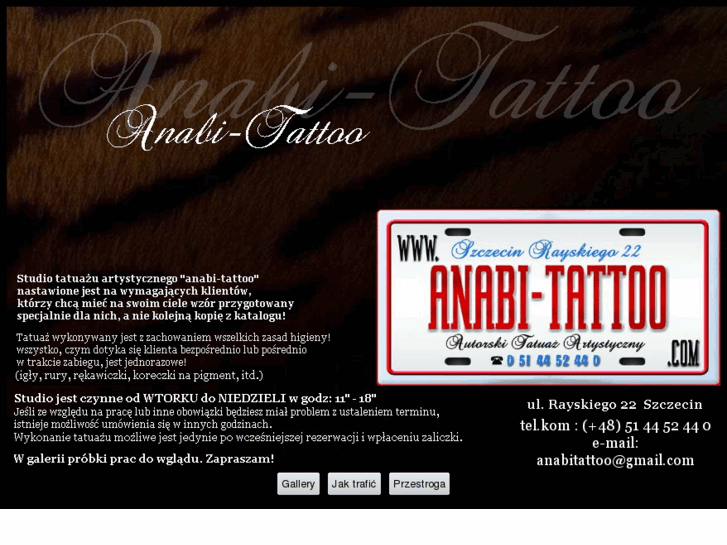 www.anabi-tattoo.com