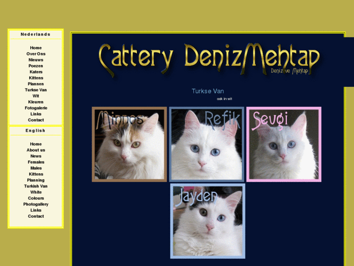 www.cattery-denizvemehtap.com