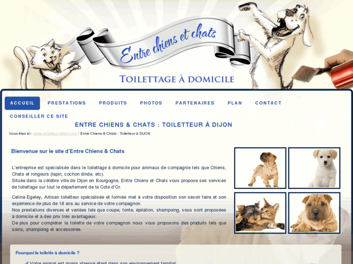 www.toiletteur-dijon.com