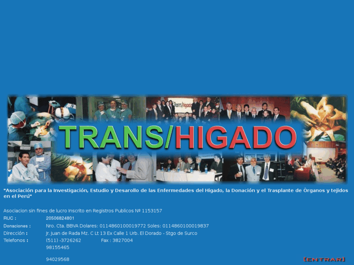 www.transhigado.org