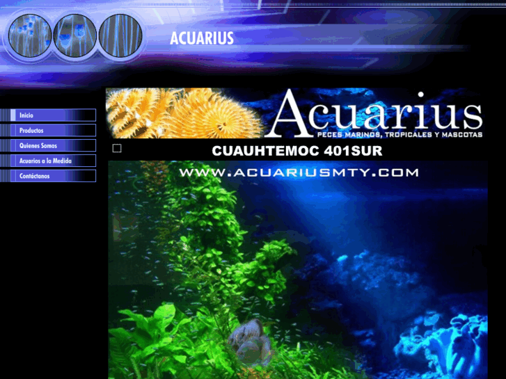 www.acuariusmty.com