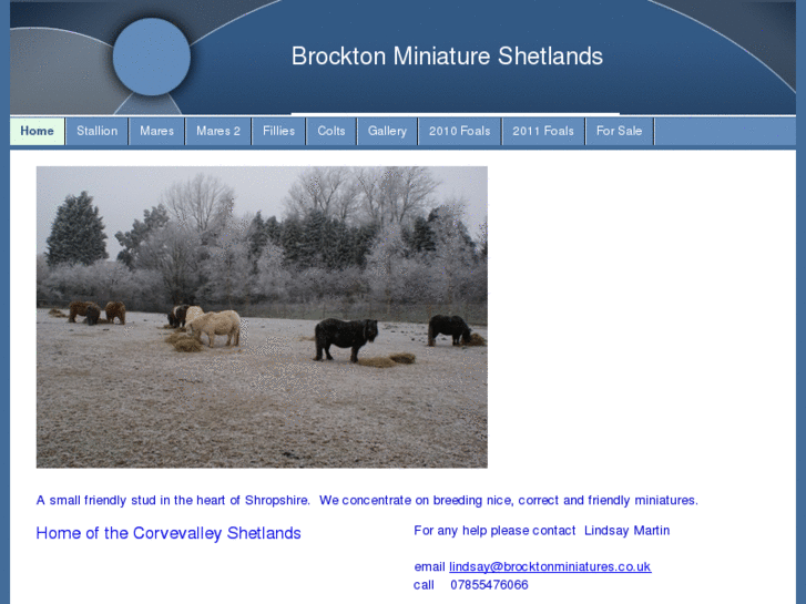 www.brocktonminiatures.co.uk