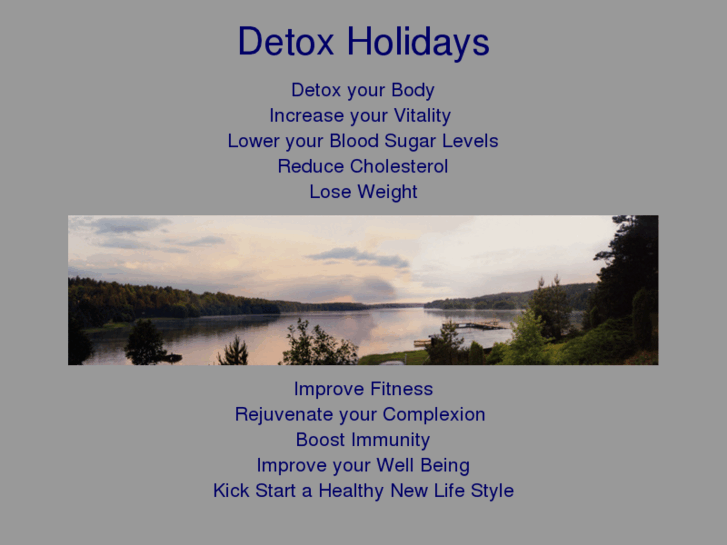 www.detoxholiday.com