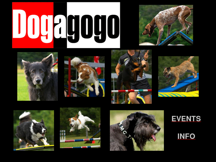 www.dogagogo.com