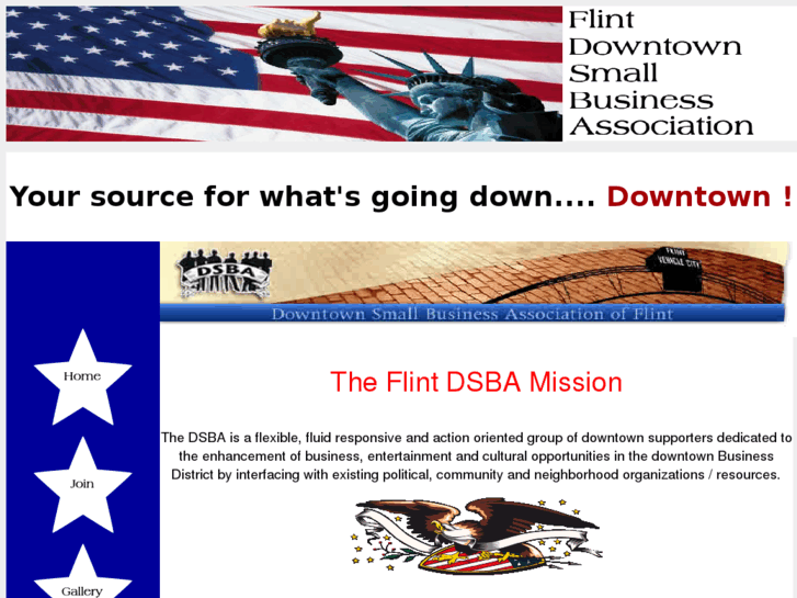 www.flint-dsba.com