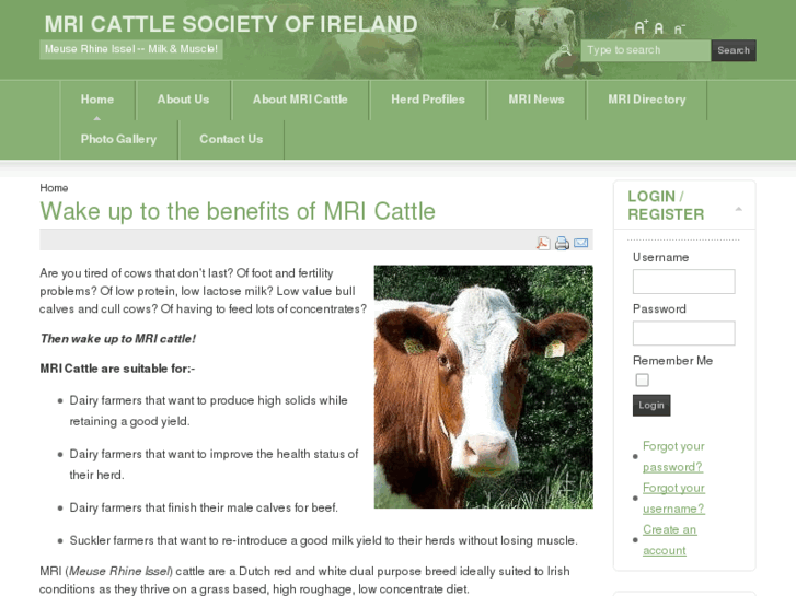 www.mricattle.org