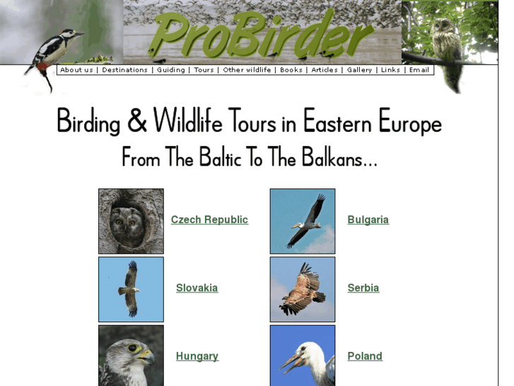 www.probirder.com