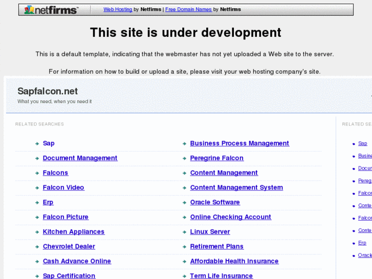 www.sapfalcon.net