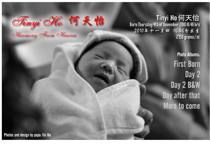 www.tinyiho.com