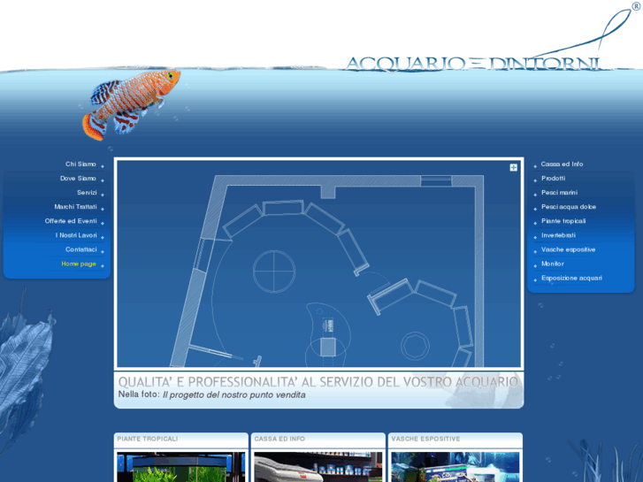 www.acquarioedintorni.it