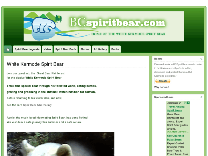 www.bcspiritbear.com