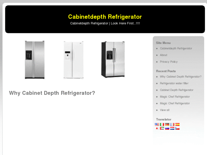 www.cabinetdepthrefrigerator.net