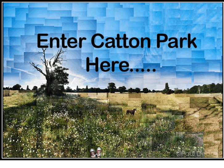 www.cattonpark.com