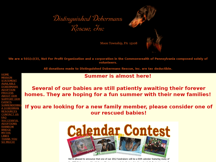www.ddrinc.net