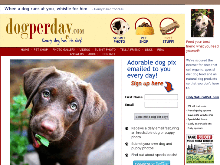 www.dogperday.com