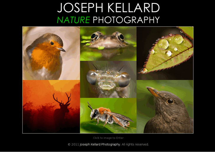 www.josephkellard.com