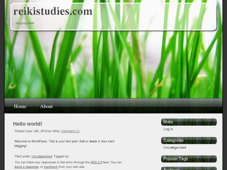 www.reikistudies.com