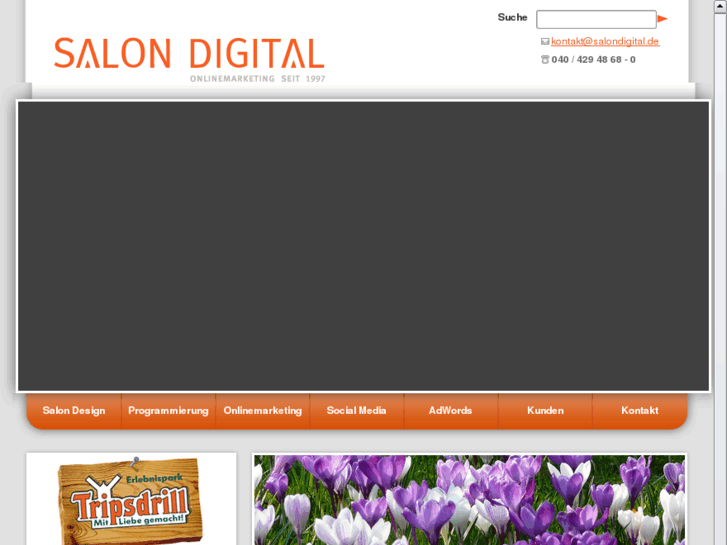 www.salondigital.com