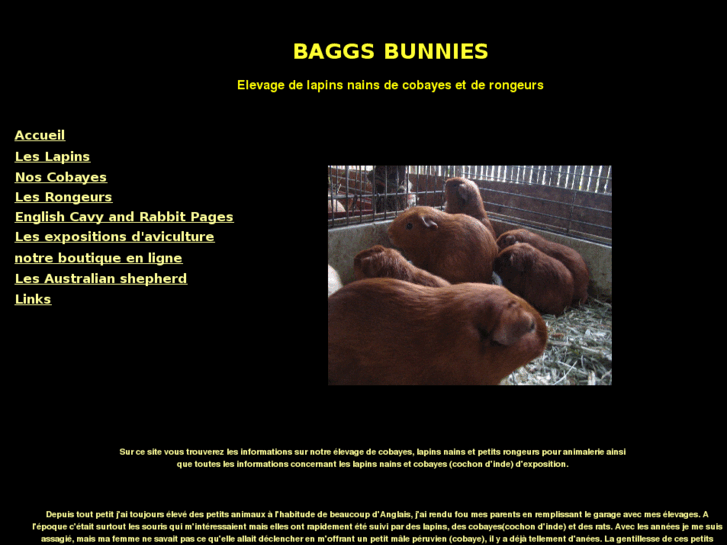 www.baggsbunnies.com