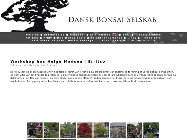 www.bonsai-danmark.dk