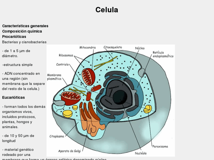 www.celula.info