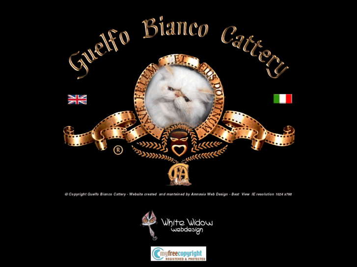 www.guelfobiancocats.com