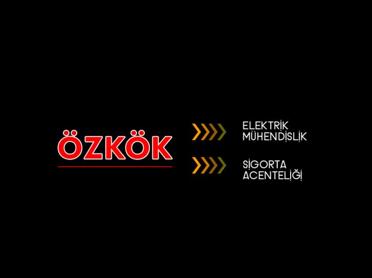 www.ozkoksigorta.com.tr