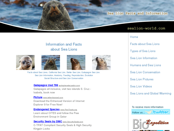 www.sealion-world.com