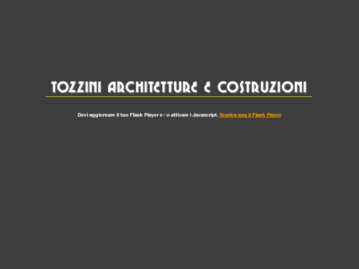 www.tozzinisecsa.com