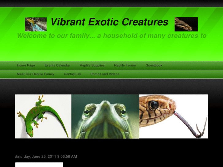 www.vibrantexoticcreatures.net