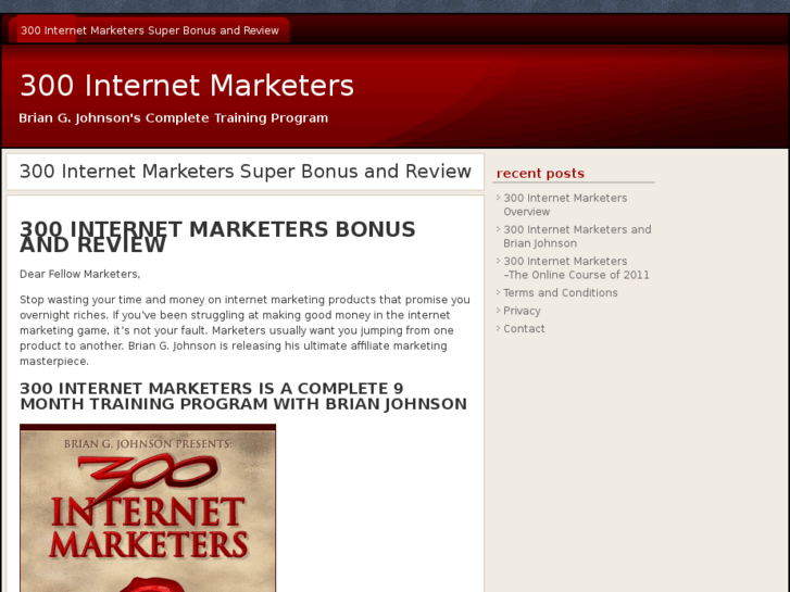 www.300internetmarketer.com