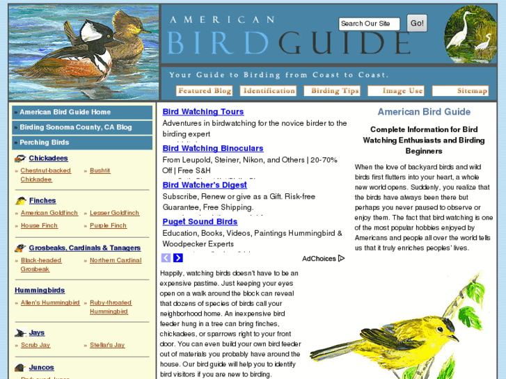 www.americanbirdguide.com