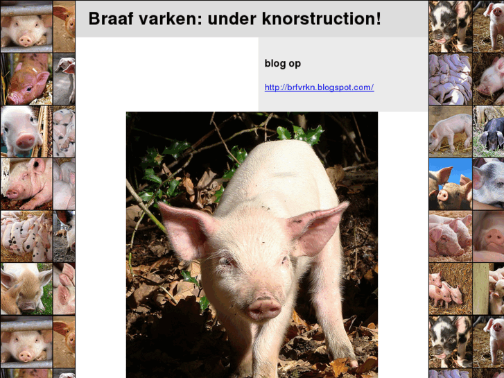 www.braafvarken.net