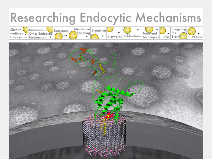 www.endocytosis.org