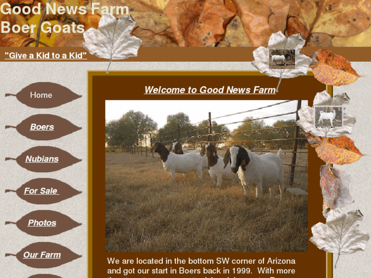 www.goodnewsfarmboers.com