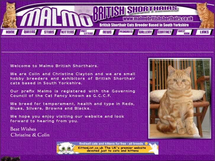 www.malmobritishshorthairs.co.uk