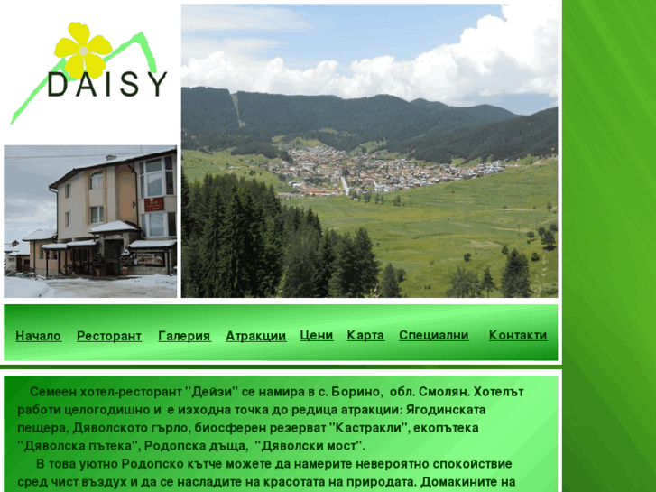 www.hoteldaisyborino.com