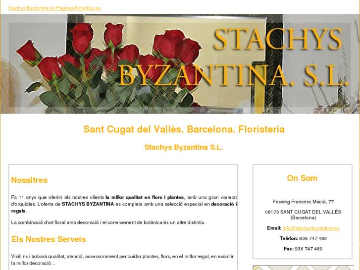 www.stachysbyzantina.es