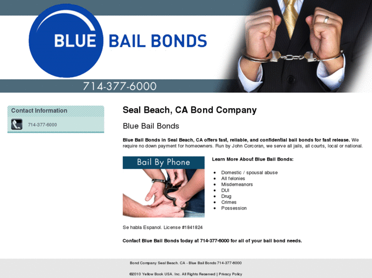 www.bluebailbondssantaana.com