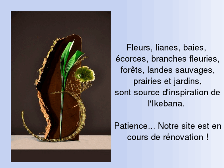 www.eika-ikebana.fr